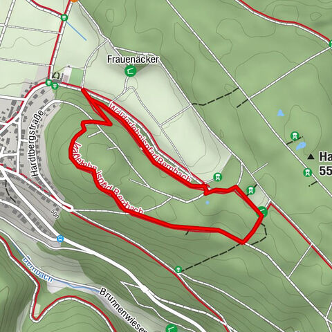 Forest adventure trail Bernbach
