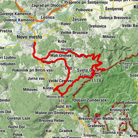 To the top of Trdinov vrh