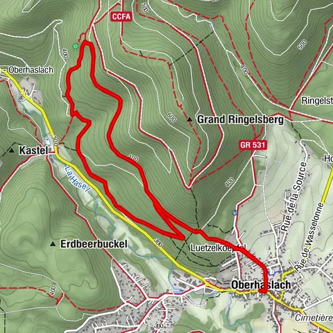 Hiking Towards the Giants of Nideck - Symposium