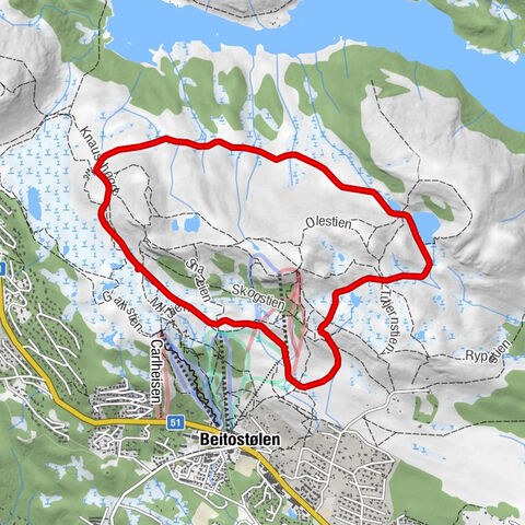 Beitostølen / Garli
