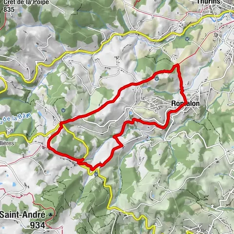 Health-sport hike: the Croix Forest bridge