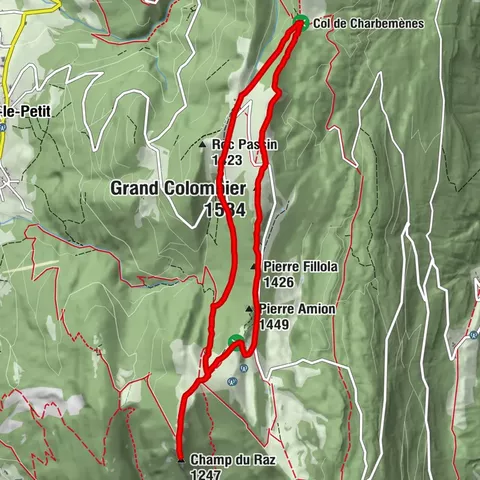 Hike: on the ridge of the Grand Colombier (circuit des crêtes)