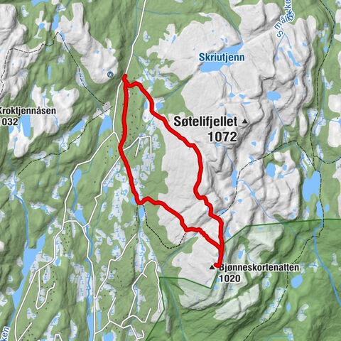 Sigdal - Bjønneskortenatten