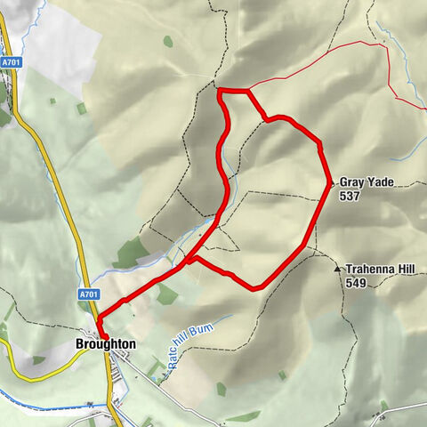 Broughton - Hammer Head - Green Lairs - Gray Yade