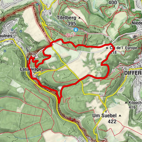 Auberge de la Promenade - La Table du Curé - Col de l´Europe - Saulnes