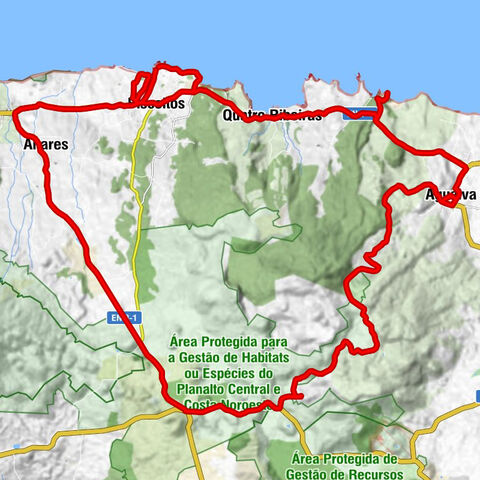 O Raul - Igreja do Imaculado Coração de Maria - Igreja de São Roque - Resturante do Porto