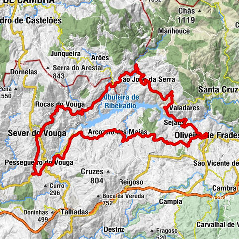 Sever do Vouga - Igreja Matriz de Sever do Vouga - Igreja de Pinheiro de Lafões - Igreja Matriz de Rocas do Vouga