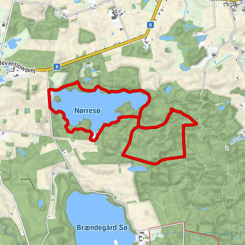 Faaborg-Midtfyn Kommune - Sølyst Skov