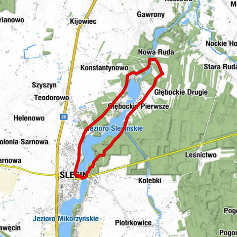 Ślesin - Głębockie Pierwsze - Witalisów - Kościół pw. Świętego Mikołaja Biskupa i Dobrego Pasterza