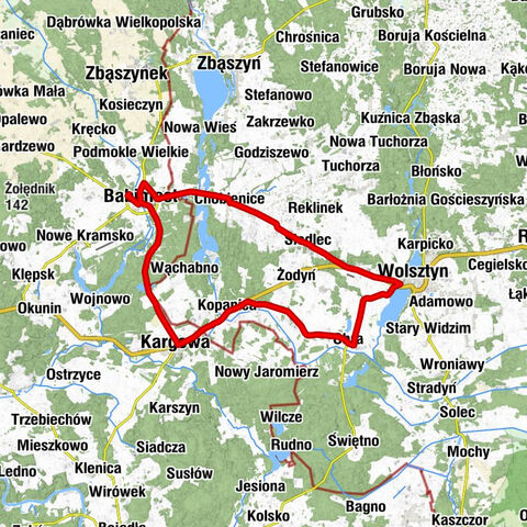 Babimost - Kościół pw. NMP Wniebowziętej - Kościół pw. Świętego Michała Archanioła - Kościół parafialny pw. św. Piotra w Okowach