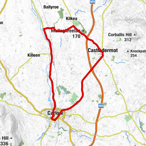 Castledermot - Carlow Presbyterian Church - Carlow - Saint Mary's Church