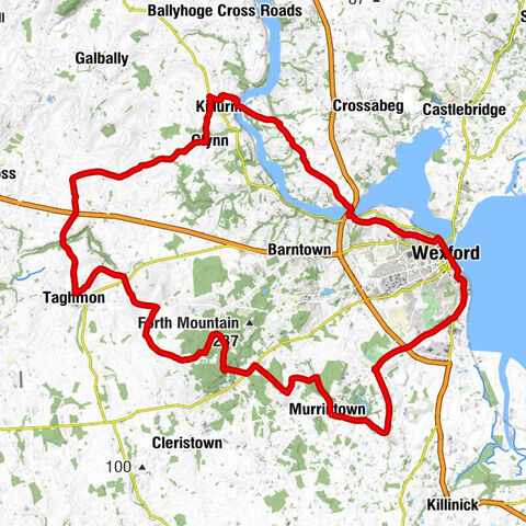 Wexford O'Hanrahan - St Martin's Church - Rathaspeck Church - Wexford