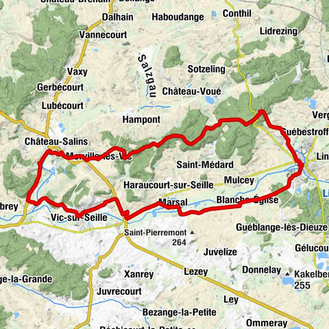 Dieuze - Guénestroff - Église Saint-Gorgon - Église Saint-Maximin