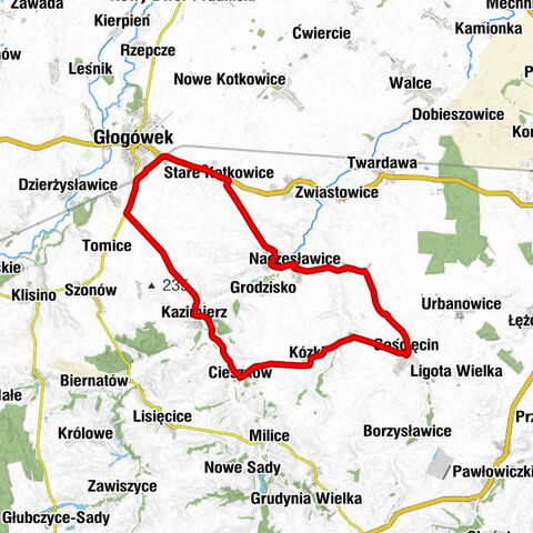 Kościół parafialny pw. św. Stanisława Biskupa i Męczennika - Kościół Matki Bożej Dobrej Rady - Kościół pątniczy pw. św. Brykcjusza - Kościół św. Barbary
