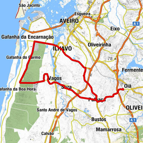 Oiã - Galo e Touro 2 - Igreja de Salgueiro