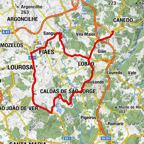 Capela de São Bartolomeu - Capela Mortuária - Igreja Matriz de Sanguedo - Souto Redondo