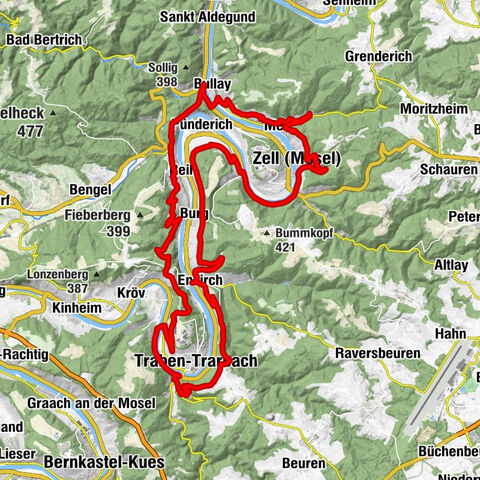 Höhen-Marathon: Wälder, Weinberge & Weitblick