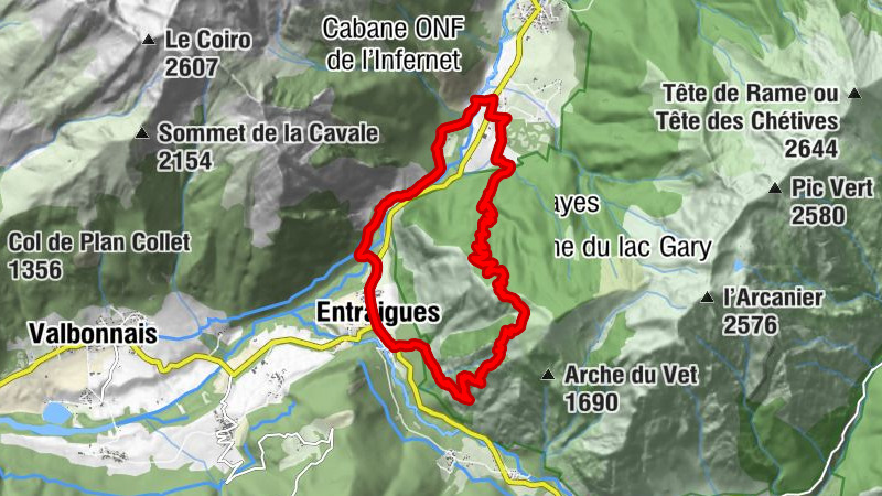 Hike, Vet, Doras