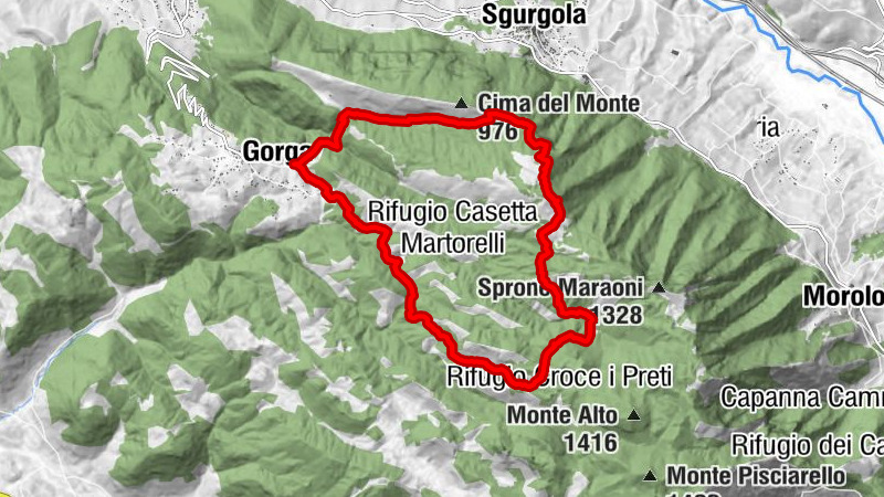 Anello gorga