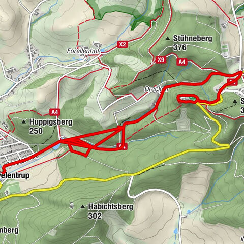 Spazierweg BaumErlebnispfad Schwelentrup