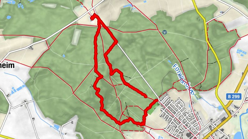 Waldsassen zur Kappl über Waldlehrpfad